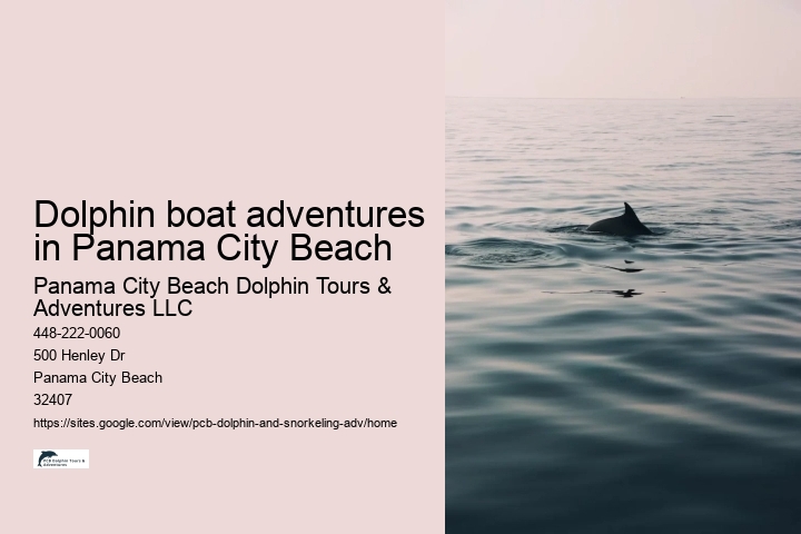Dolphin boat adventures in Panama City Beach