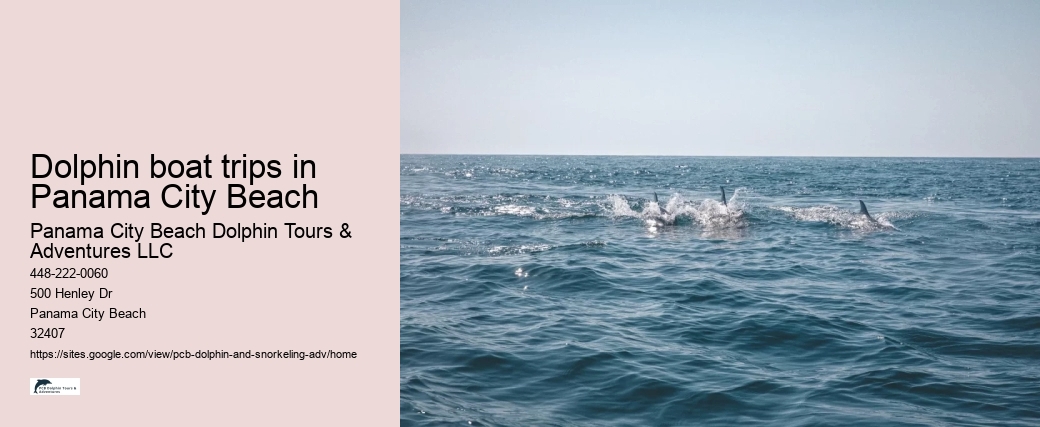 Dolphin boat trips in Panama City Beach