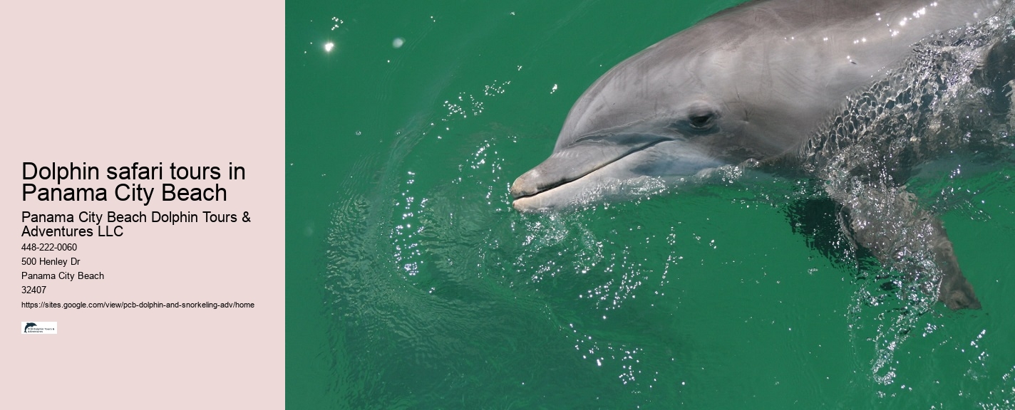 Panama City Beach Dolphin Tours & Adventures Henderson La