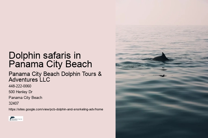 Dolphin safaris in Panama City Beach