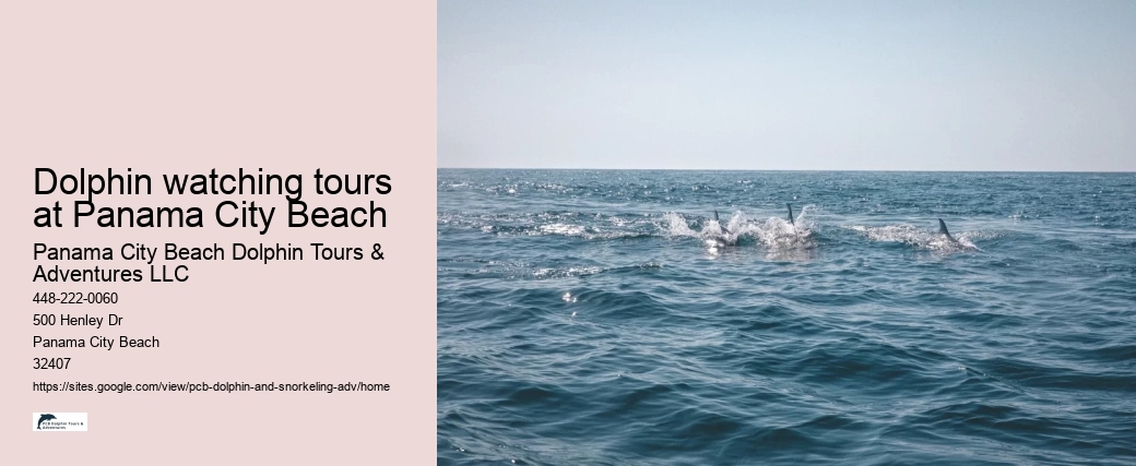 Dolphin watching tours at Panama City Beach