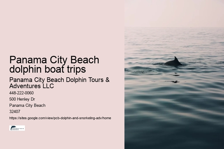 Panama City Beach dolphin boat trips
