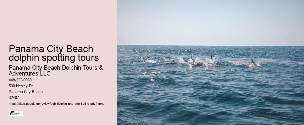 Panama City Beach dolphin spotting tours