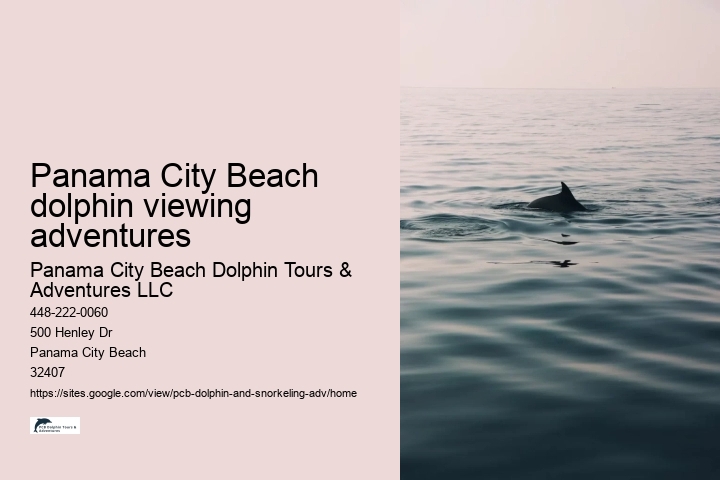 Panama City Beach dolphin viewing adventures